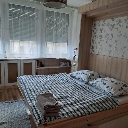 SzekszárdMikes Apartmanアパートメント エクステリア 写真