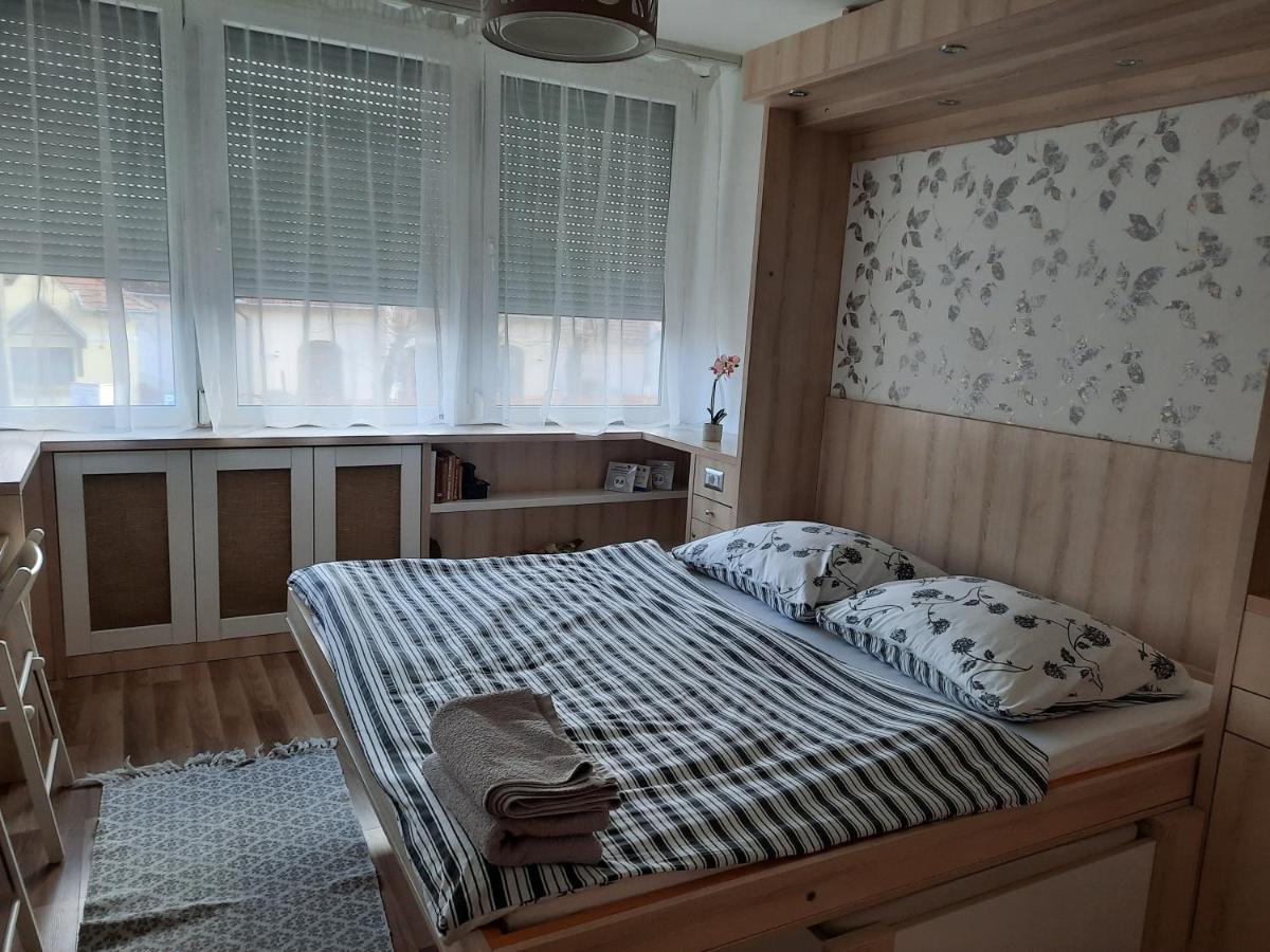 SzekszárdMikes Apartmanアパートメント エクステリア 写真